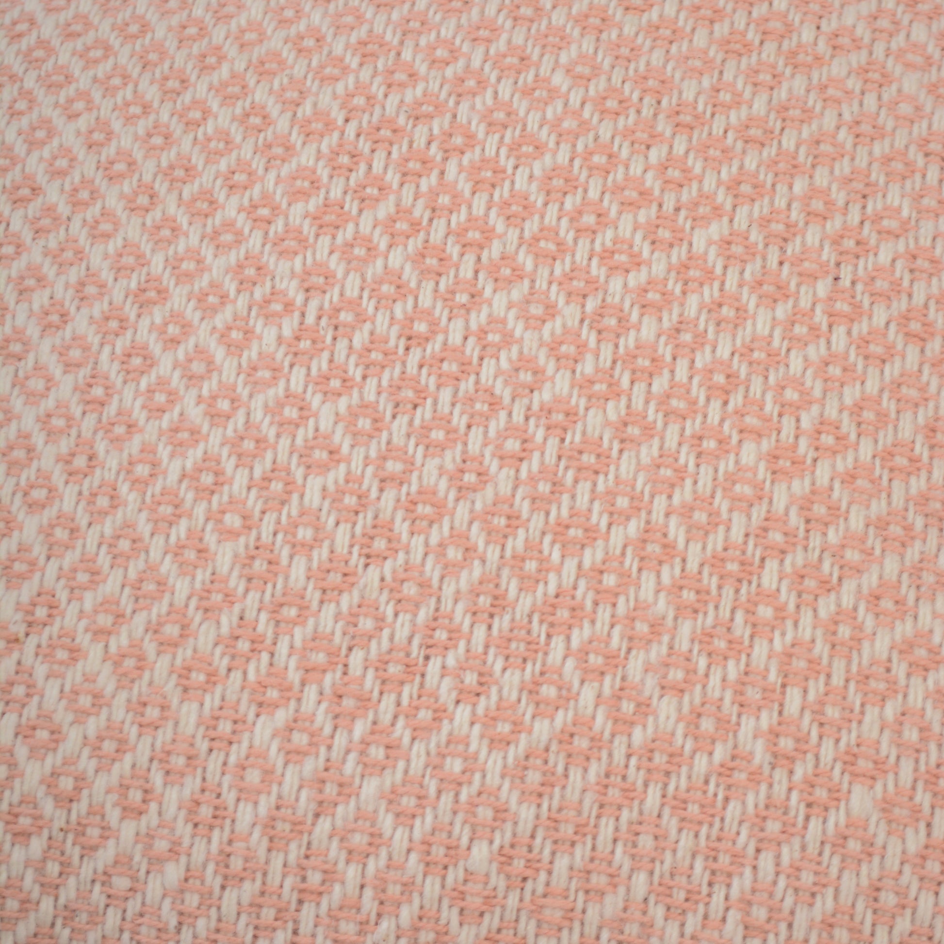 DSC_2749.JPG